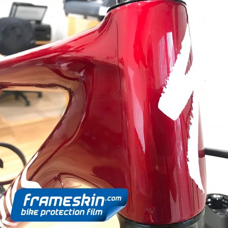 Frameskin Generic Downtube